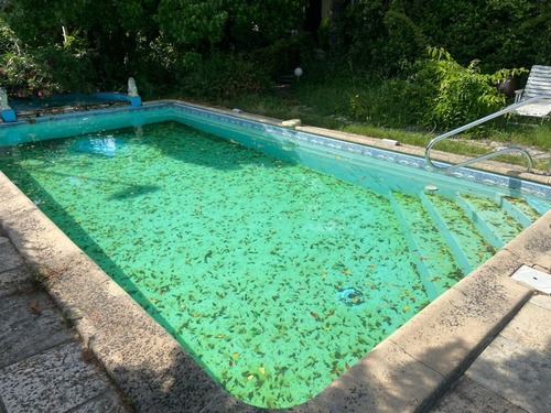 piscine à l'automne