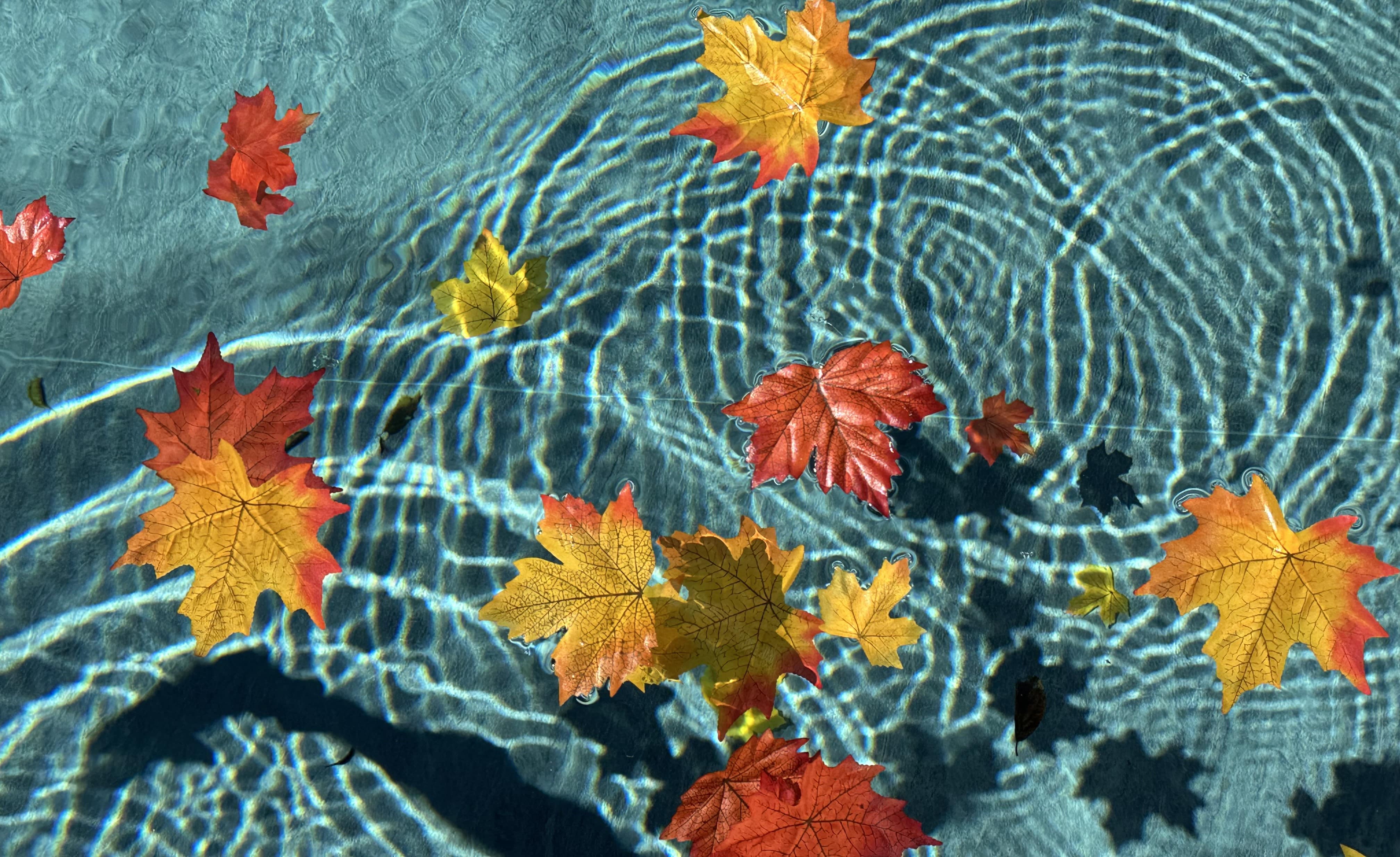 piscine à l'automne sans hivernage