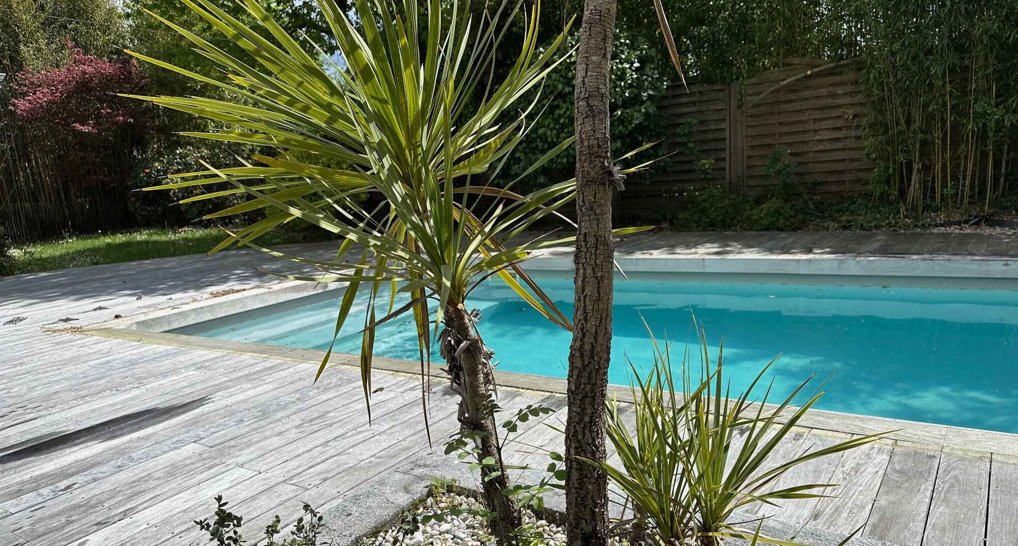 piscine-chlore-libre